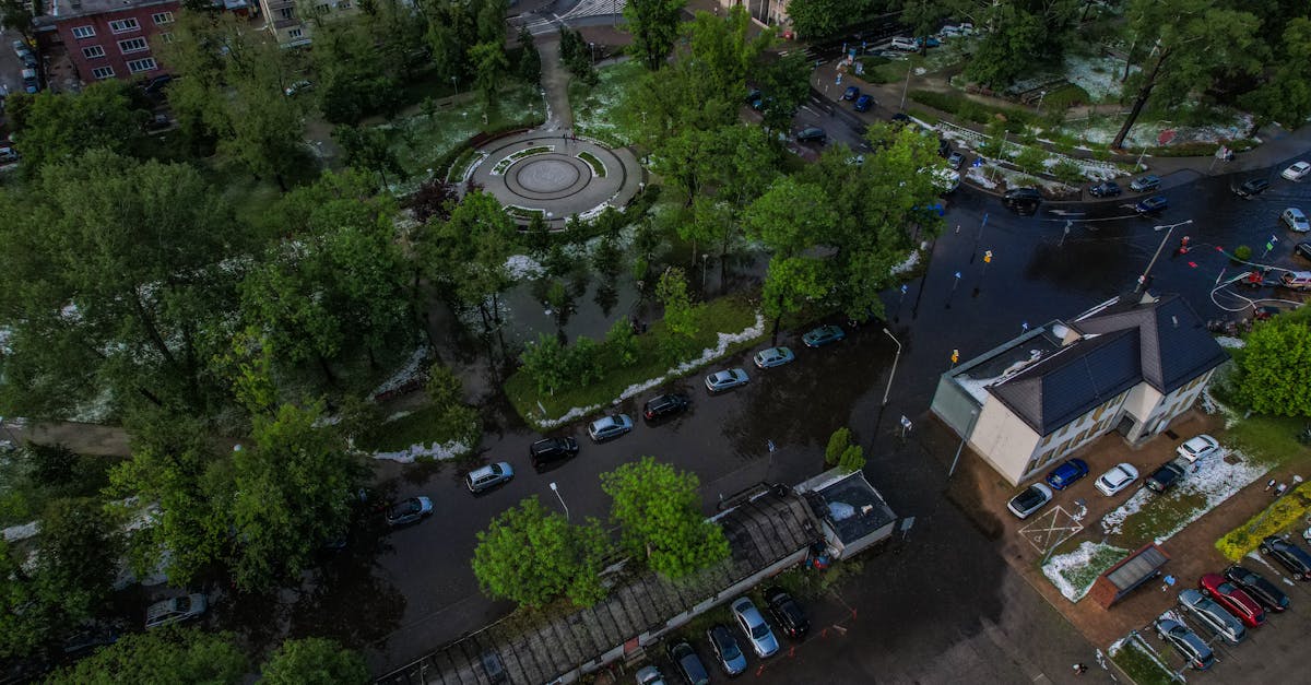 Dispariția parcării improvizate din Cluj-Napoca: impactul asupra locuitorilor