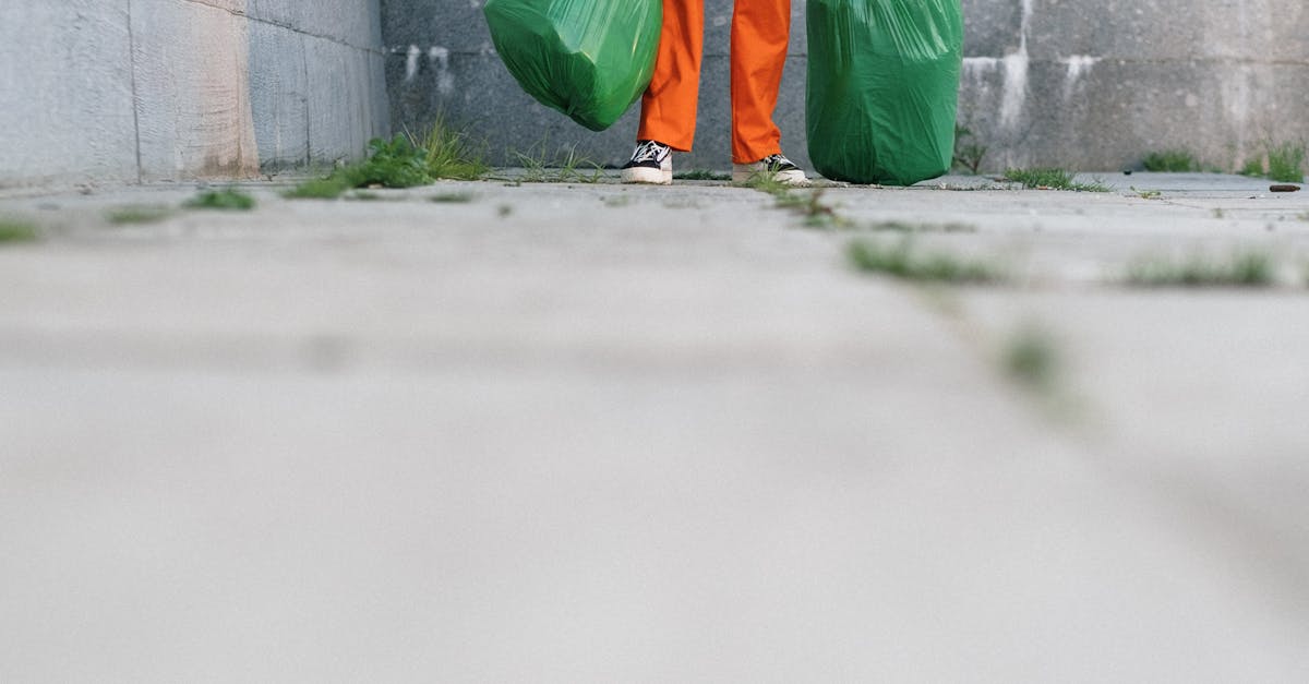 Situație alarmantă în zona verde din Cluj: pericol biologic și igienă precară