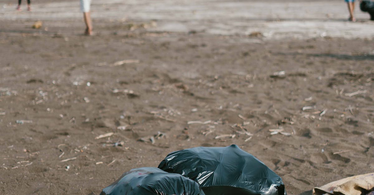 Acțiuni colective pentru combaterea poluării cu plastic de Ziua Mondială a Mediului