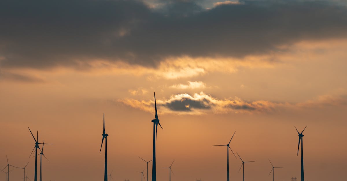 Eliminarea plafonării tarifelor la electricitate de la 1 iulie: cine beneficiază de sprijin la plata facturilor