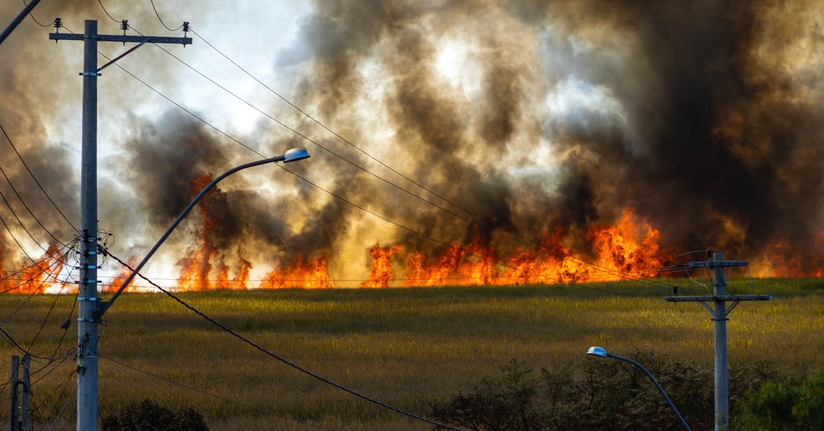 Incendiu de vegetație uscată în Câlnic, intervenția pompierilor din Sebeș și SVSU