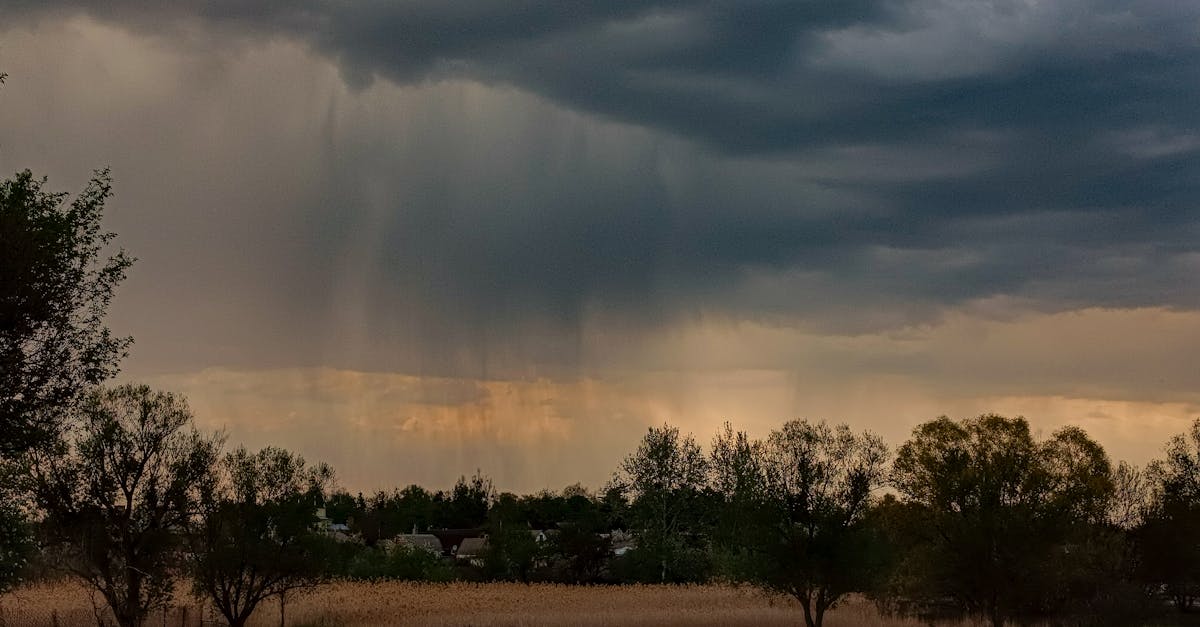 ANM: Mai a fost a cincea cea mai rece lună din istoria măsurătorilor meteorologice și a patra cea mai ploioasă lună