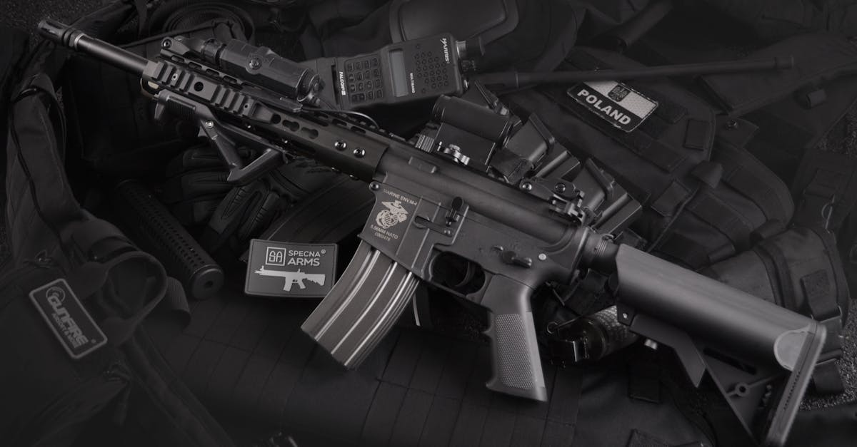 Poliția a confiscat 30 de arme ilegale de la suceveni