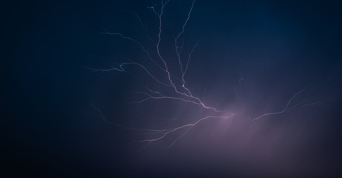 Avertizare meteo: Timișul sub cod portocaliu de caniculă în weekendul următor