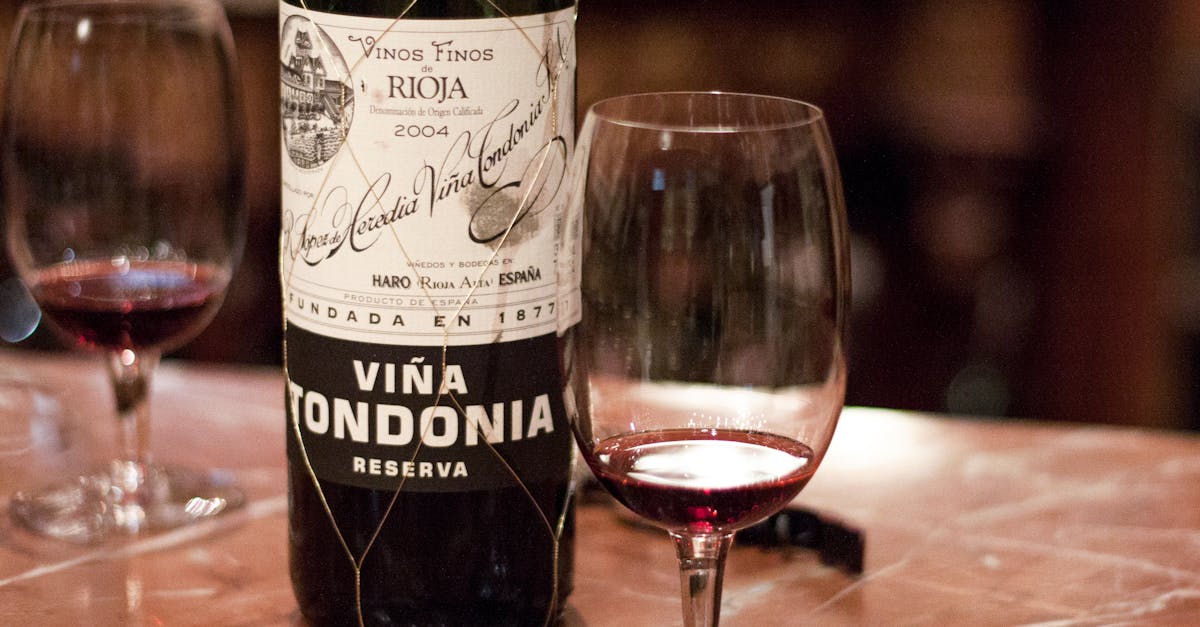 Bătălia Vinului – distracție și cultură în capitala vinului din La Rioja