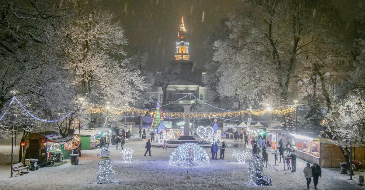 Parcul Brâncuși din Târgu Jiu revine la viață cu ajutorul tinerilor