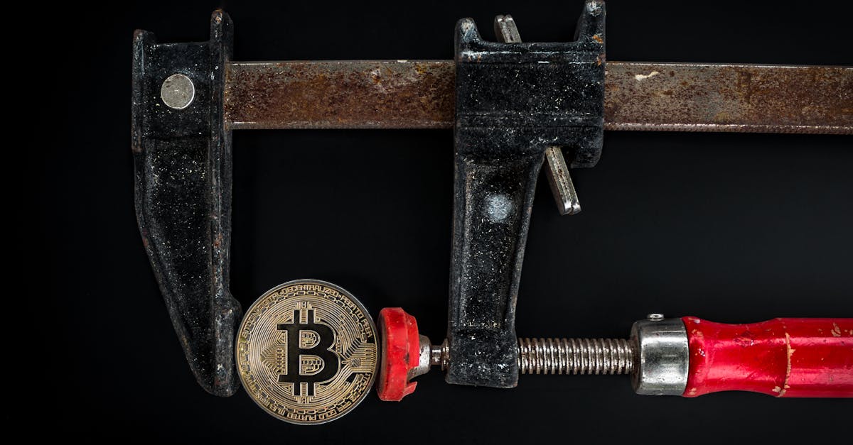 Familia Bitcoin își protejează criptomonedele pe patru continente, după amenințări severe