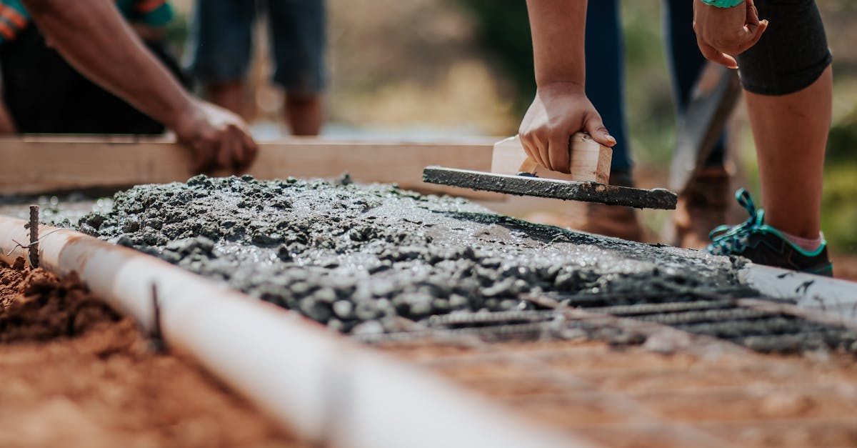 Transformarea satului Grădinari: peste 400 de voluntari la Color the Village