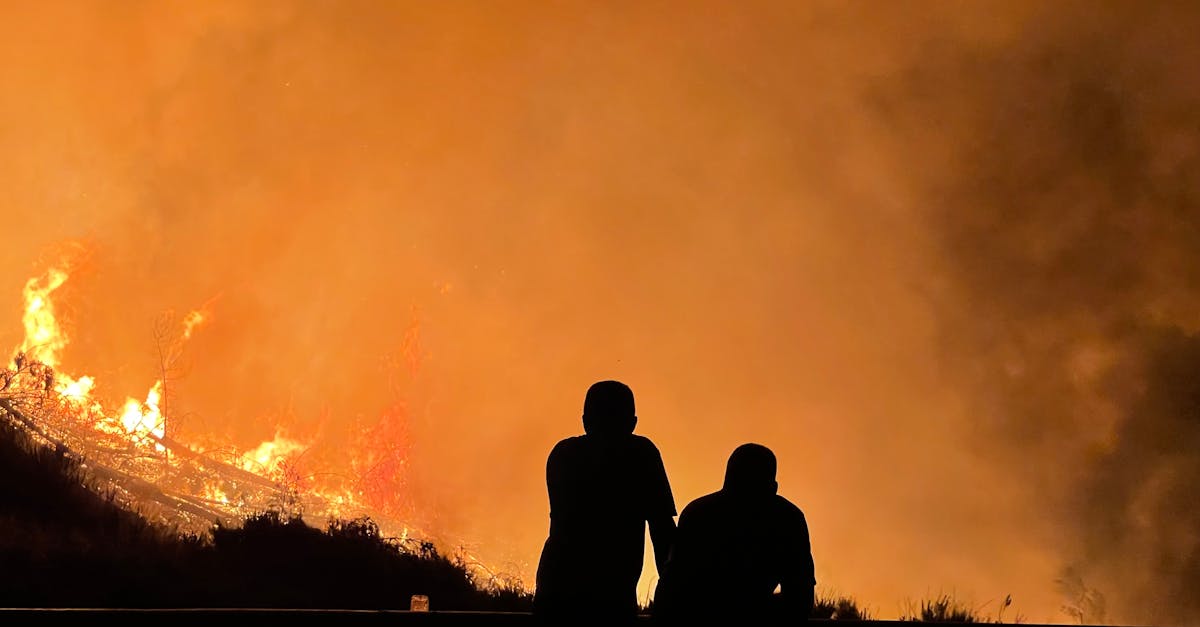 Incendiul devastator din Turnu Roșu: anexă și cameră tehnică distruse complet