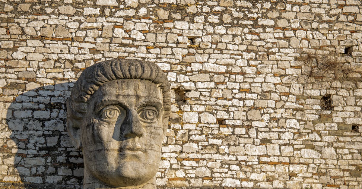 Cetatea de la Herneacova: o comoară istorică redescoperită în Timiș