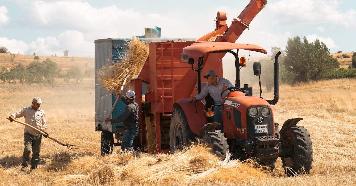 Ziua Grâului Bărăgan 2025: Un pas important pentru agricultura românească