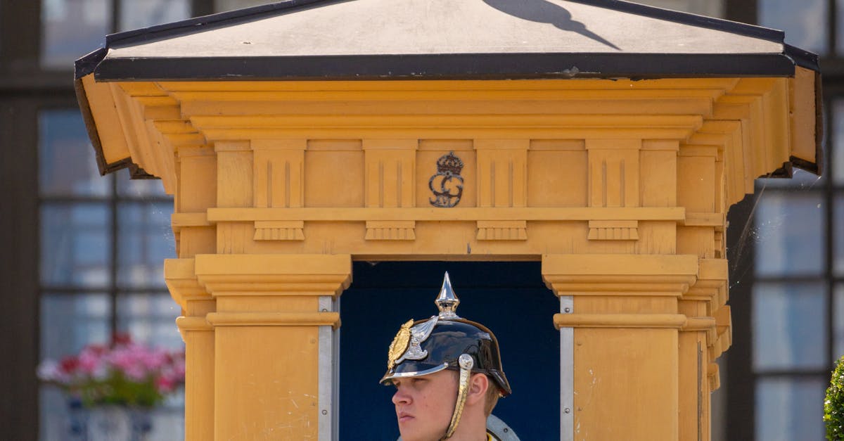 Nicușor Dan și regele Spaniei, Felipe al VI-lea, se întâlnesc la baza militară Cincu