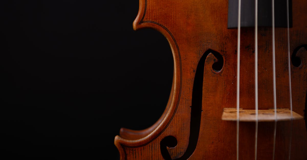 Concert extraordinar la Biserica Neagră: Stradivarius și Rapsodiile lui Enescu și Gershwin