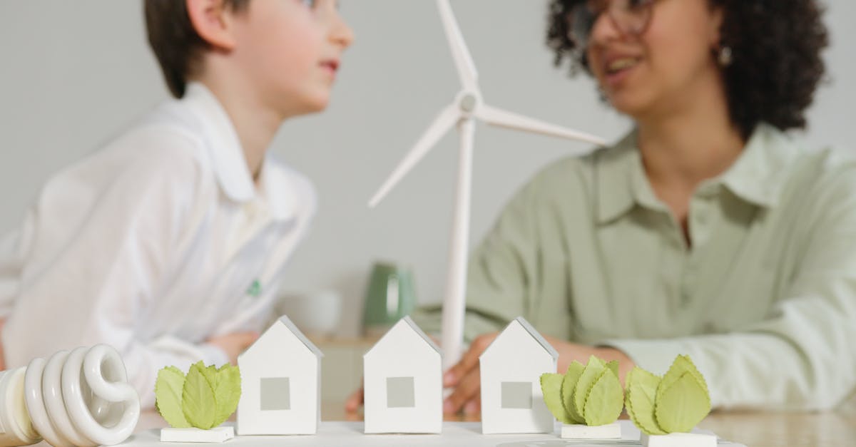 Reabilitarea Școlii Gimnaziale nr. 10 Mihail Koiciu din Constanța: Detalii despre proiectul de eficiență energetică