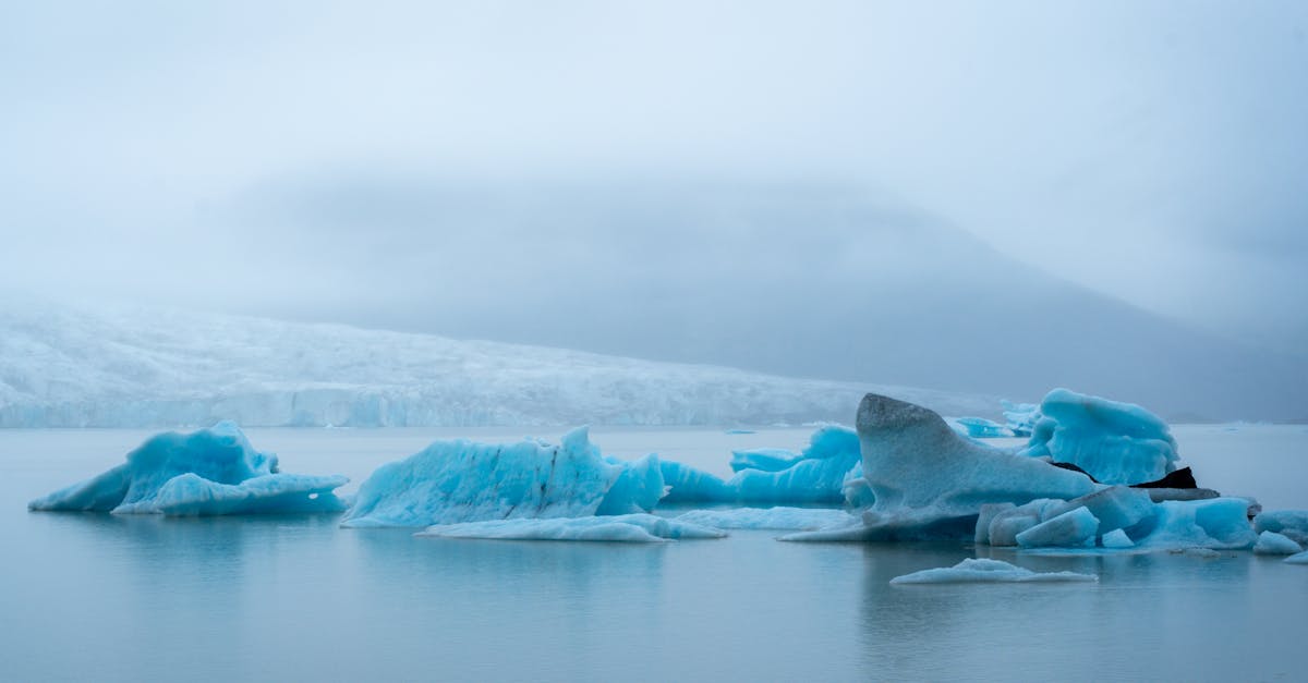 Mai 2025: o lună record de căldură și implicațiile schimbărilor climatice
