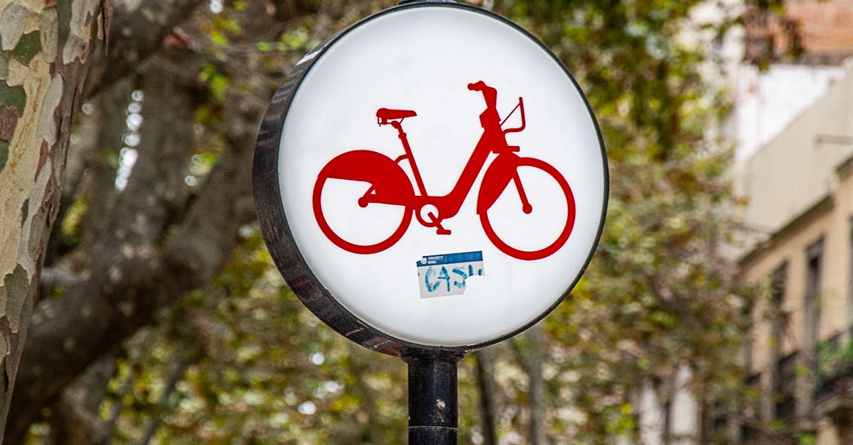 Felix Borcean: Angajamentul meu pentru pistele de biciclete rămâne ferm!
