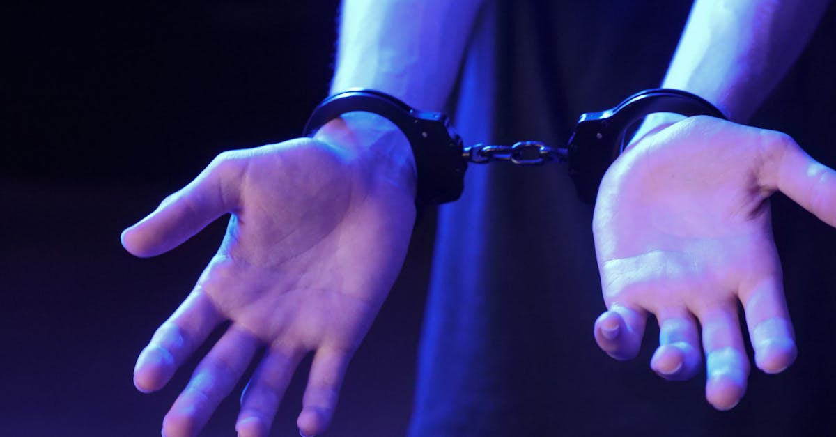 Captură de lemne ilegale în Sibiu: poliția acționează împotriva transporturilor neautorizate