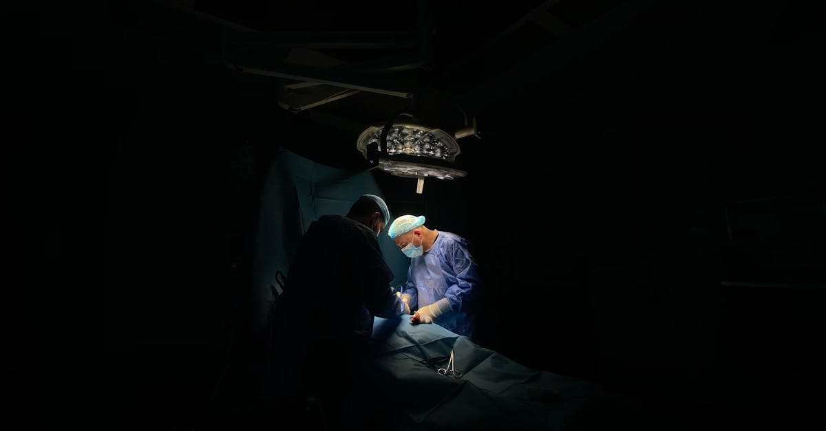 Incident bizar: o femeie ajunge la spital după contactul cu veninul unei văduve negre