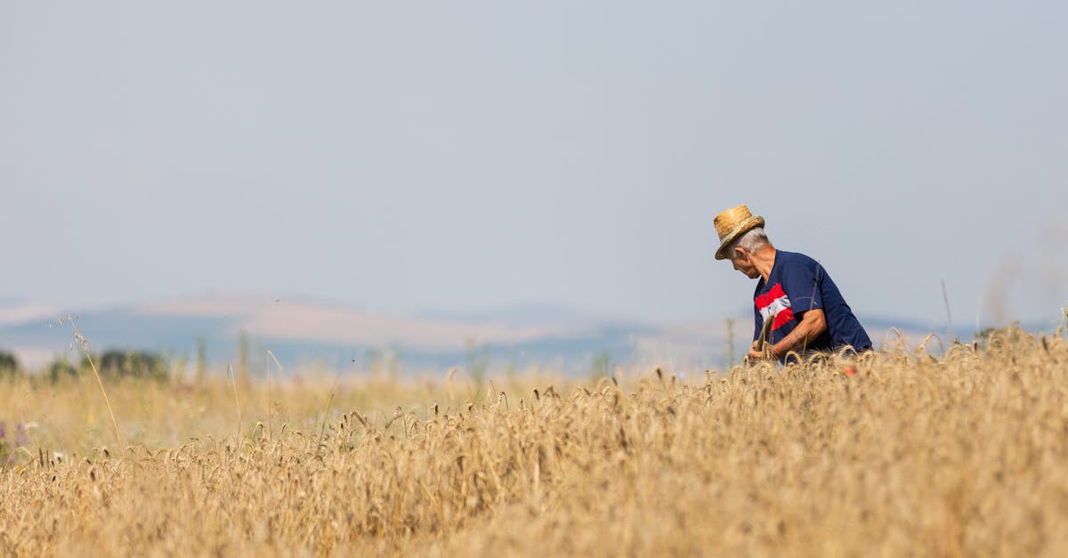 Evenimentul Ziua Grâului adună peste 700 de fermieri la Seuca