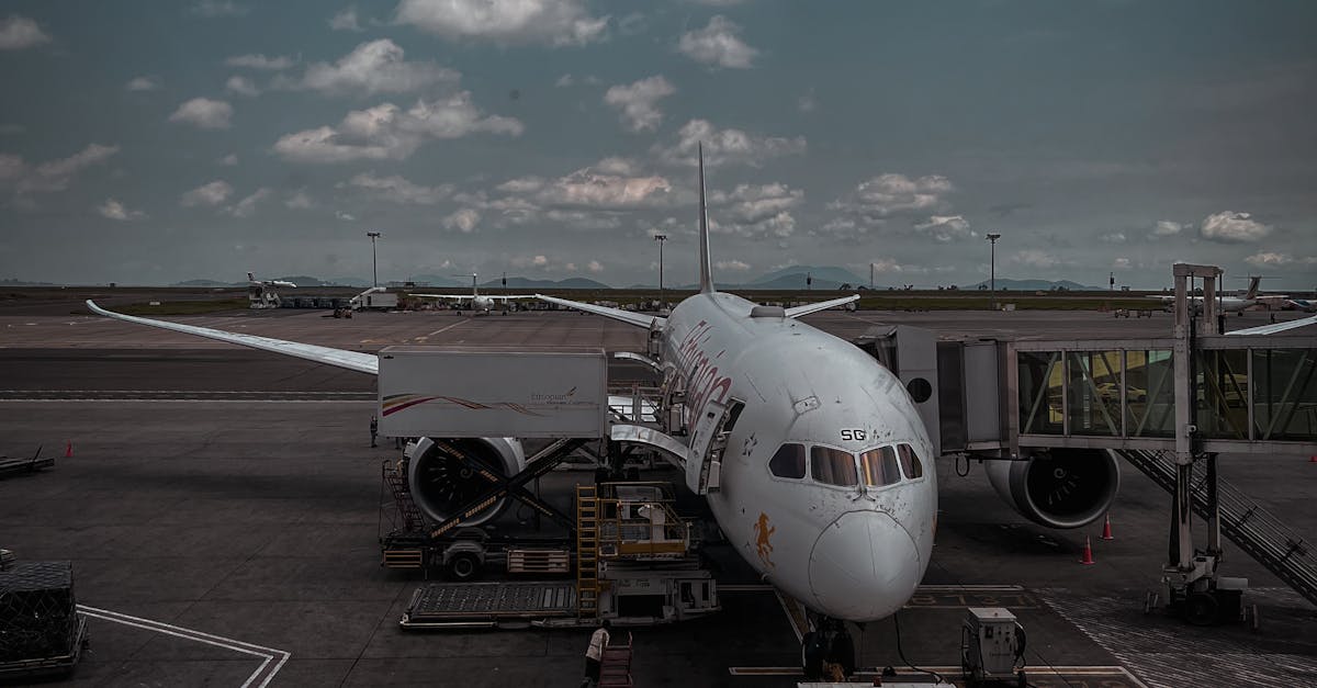 Tragedie aviatică în India: Un avion cu 242 de pasageri s-a prăbușit în Ahmedabad