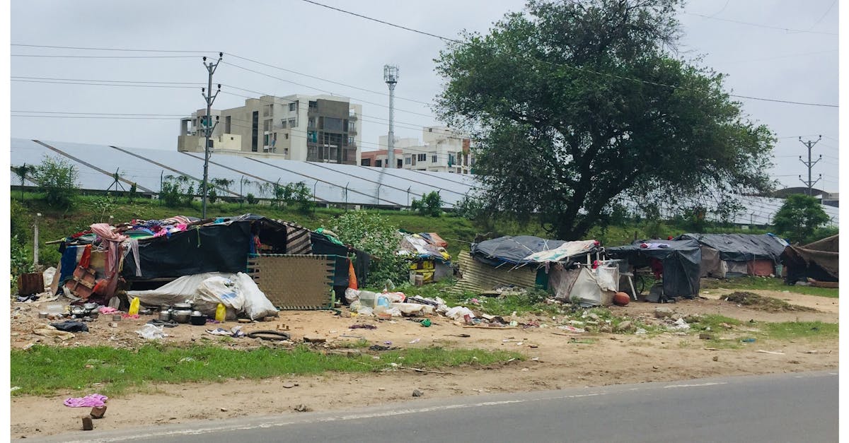 Cimitirul din Sibiu adoptă soluții ecologice cu o investiție de 1,5 milioane lei