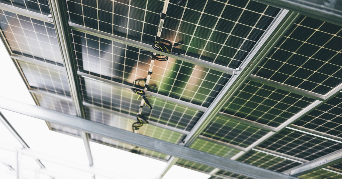 O nouă inițiativă ecologică: parc fotovoltaic în Sângeorgiu de Pădure