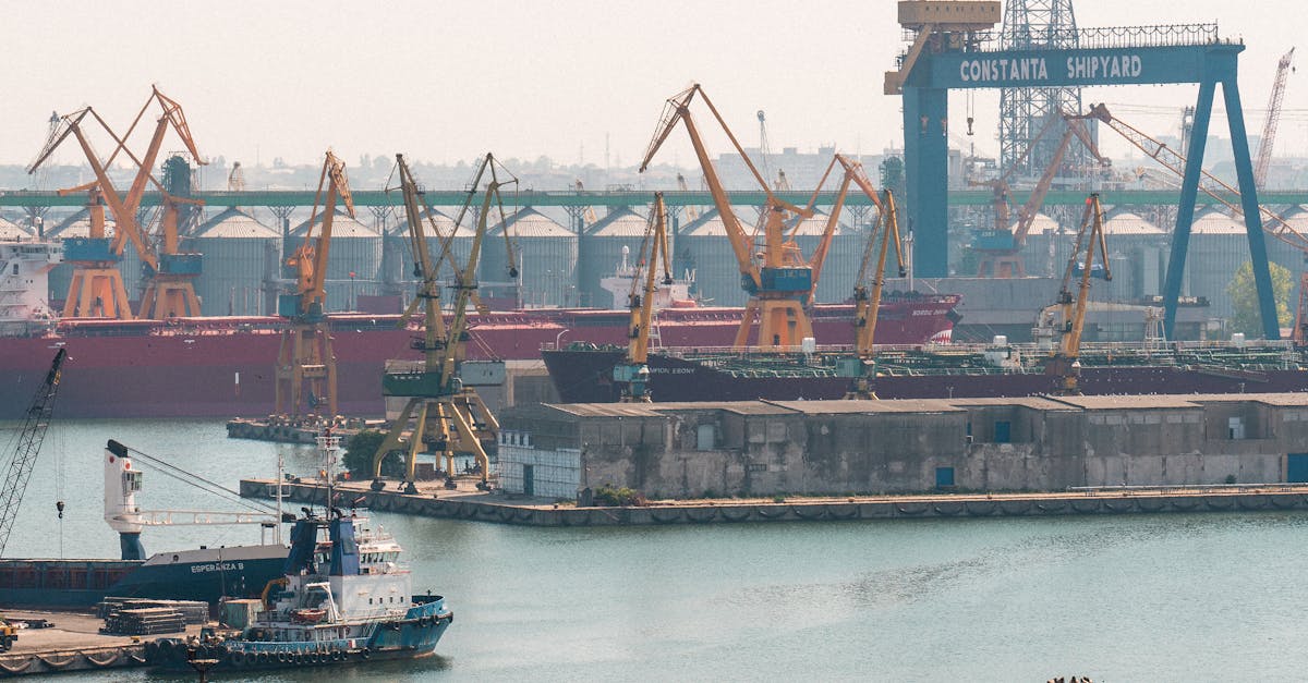 Plățile angajaților de la Șantierul Naval Damen Mangalia vor fi reluate în august