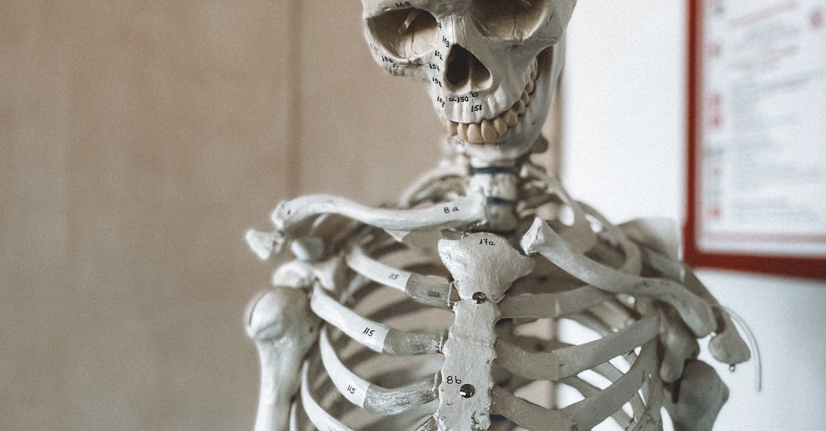 Ce trebuie să știe elevii despre subiectele de Biologie la BAC 2025