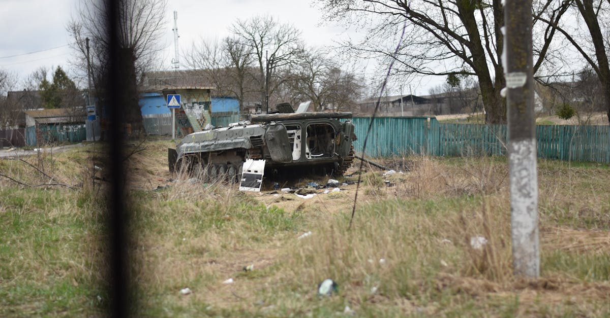 Conflict pe câmp în Satu Mare: o familie atacată de un cioban