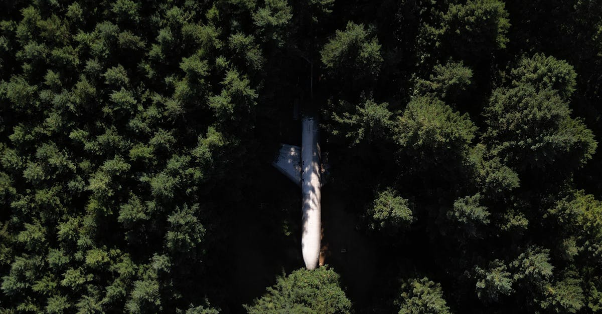 Tragedie aviatică în India: bilanțul mortilor se ridică la 294