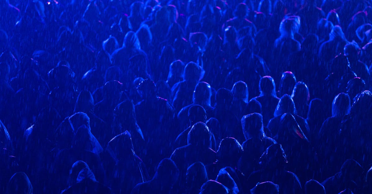 Zilele Sucevei 2025: Un festival de muzică și cultură promite distracție pe parcursul a trei zile