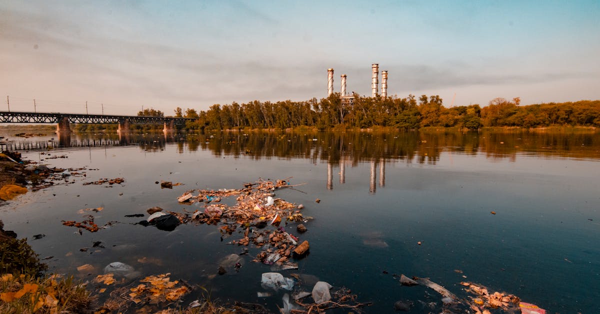 Contaminarea apei din zona Praid amenință ecosistemele din Alba Iulia și Ungaria