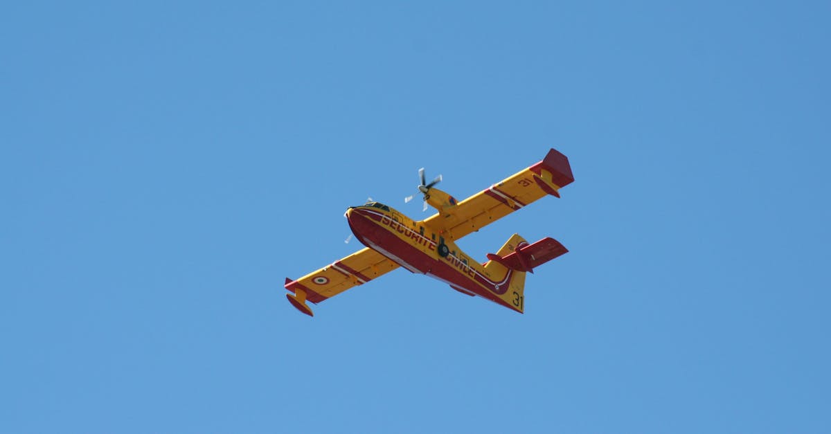 Tragedie aviatică în India: detalii despre prăbușirea devastatoare a unui avion