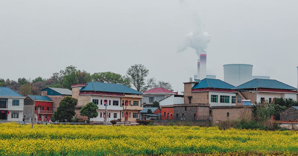 Îngrijorări legate de infiltrarea chineză în agricultura americană: doi cercetători acuzați