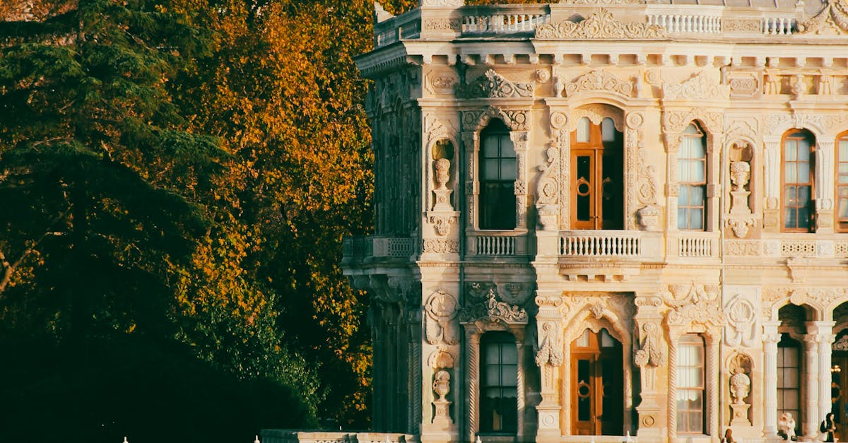 Descoperă Târgu Mureș cu un tur ghidat dedicat Art Nouveau