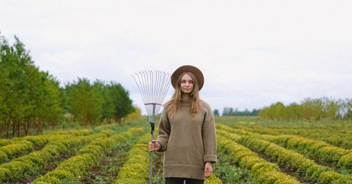 Tragedie în câmp: un adolescent a decedat după ce un utilaj agricol s-a răsturnat