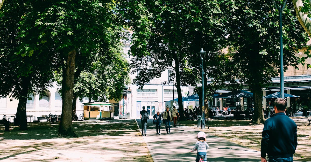 Transformarea centrului Târgu Mureș într-o oază pietonală în weekenduri