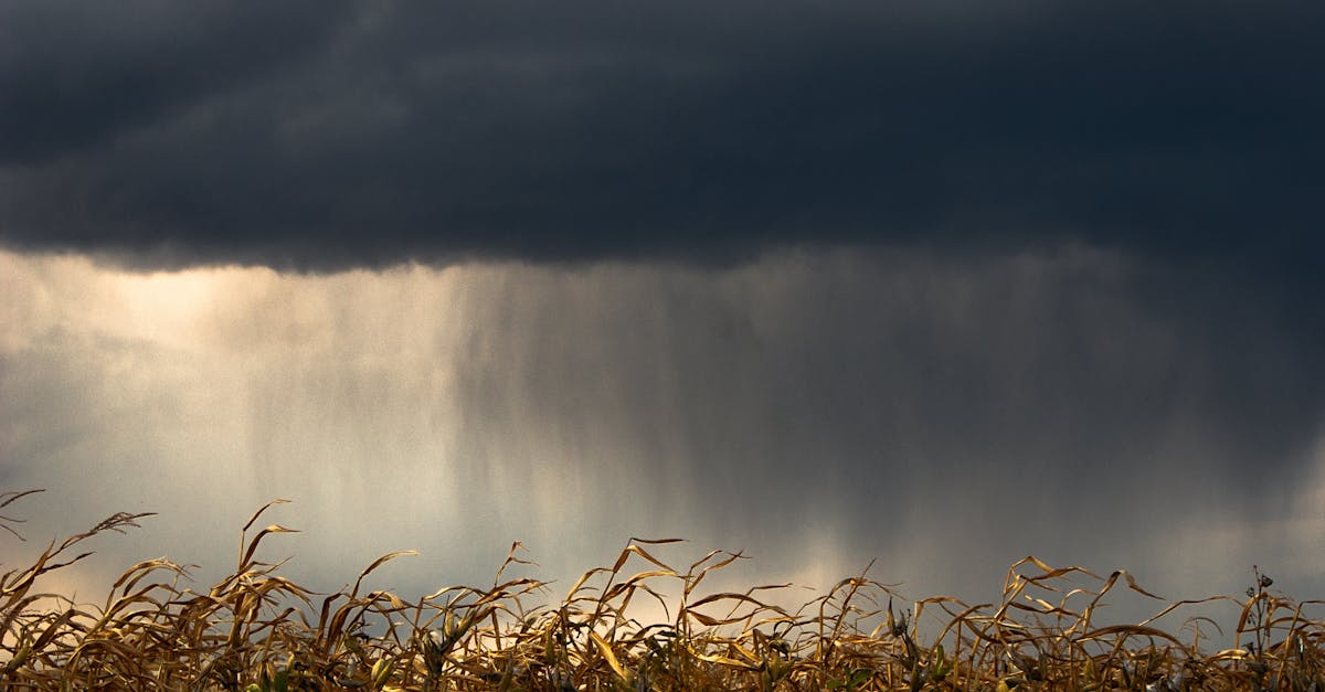 Atenționări meteorologice: furtuni iminente în patru județe din România