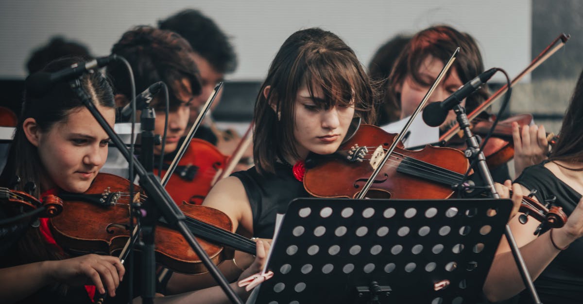 AlbaFest oferă o seară plină de muzică alături de mari artiști români