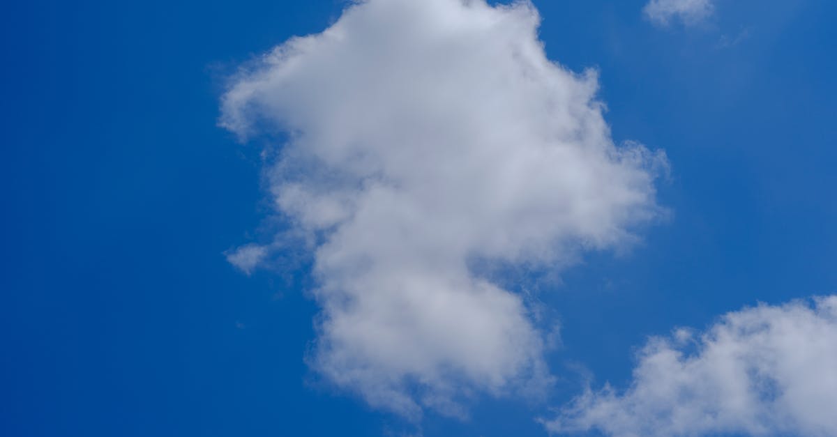 Săptămâna viitoare, caniculă în Satu Mare: prognoza meteo detaliată