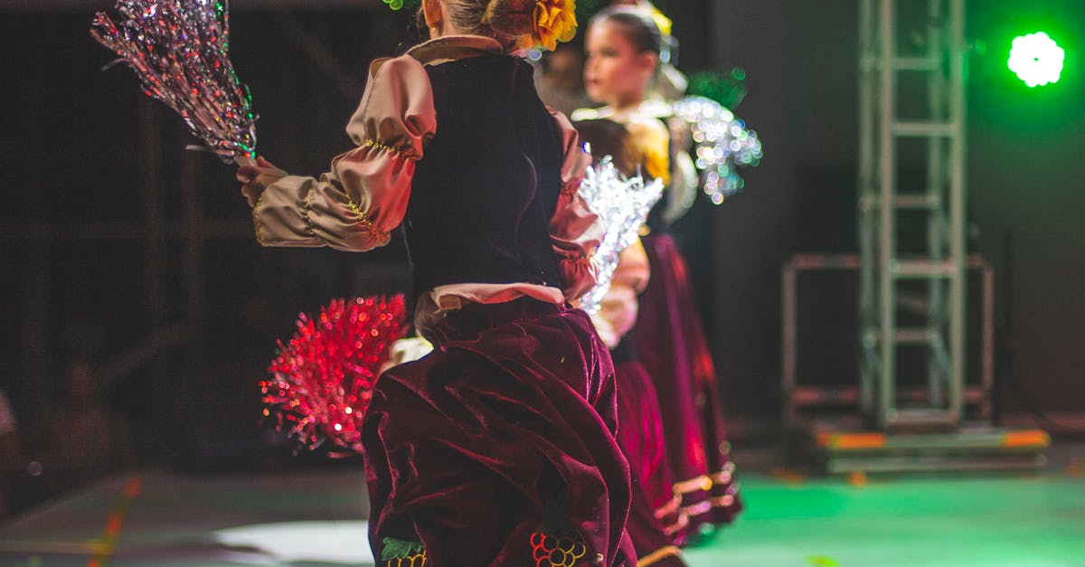 Alexandru Tomescu încântă publicul din Gorj cu un concert de neuitat