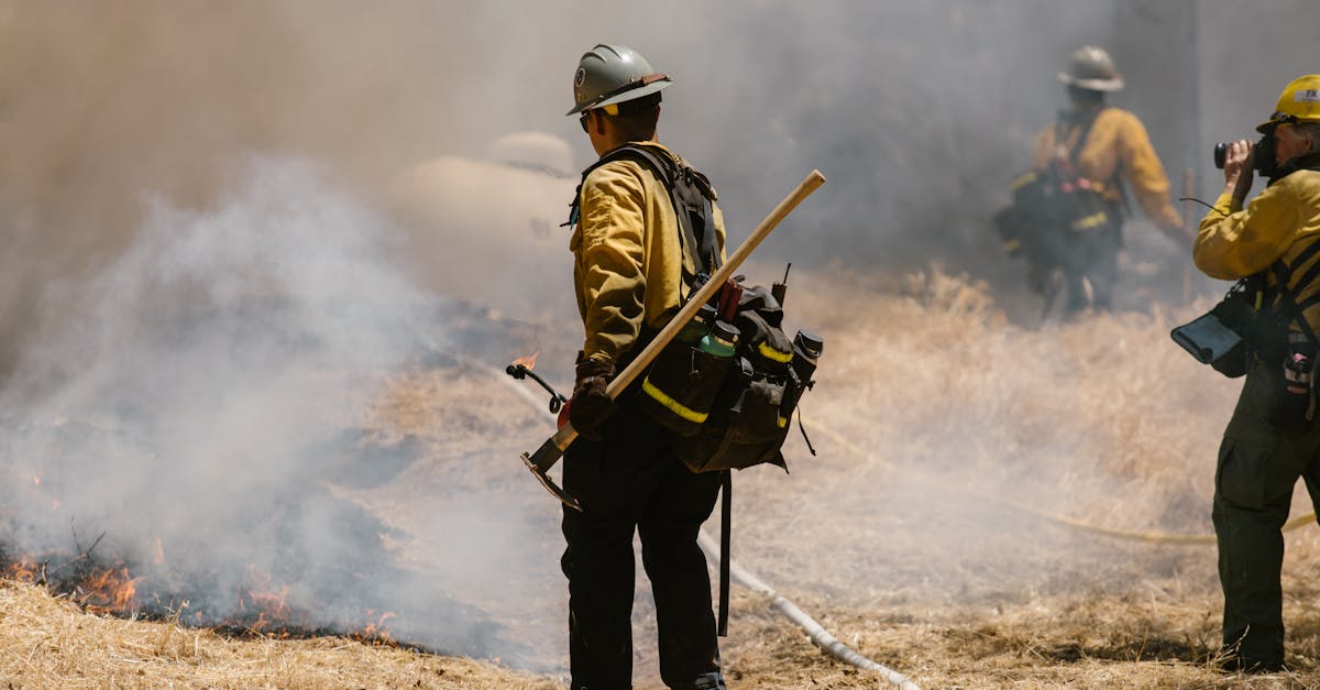 Monitorizarea satelitară a pădurilor din Caraș-Severin pentru prevenirea incendiilor