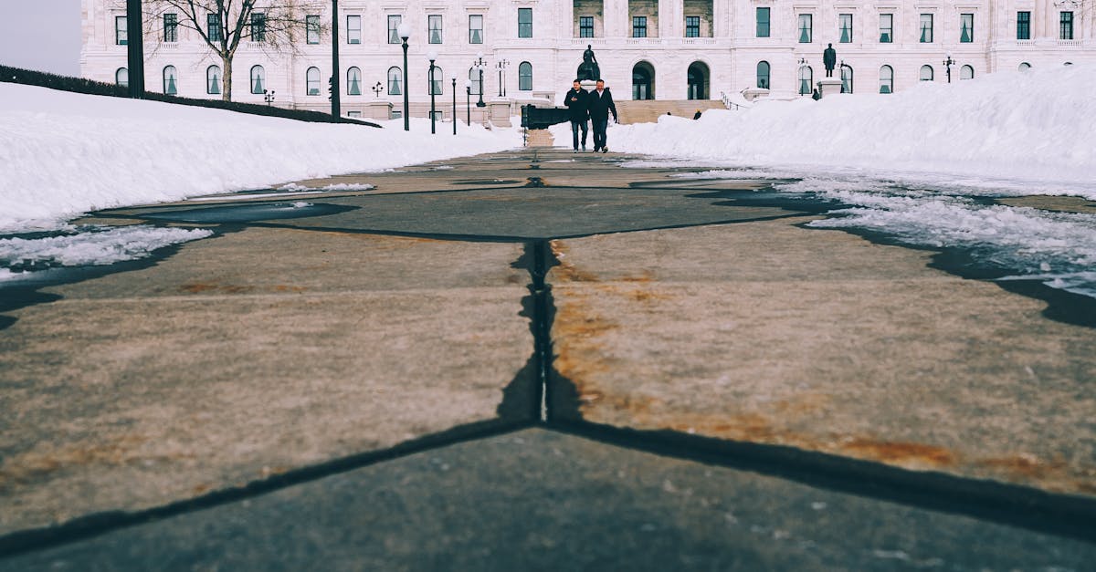 Bărbat arestat în Minnesota pentru uciderea a doi parlamentari
