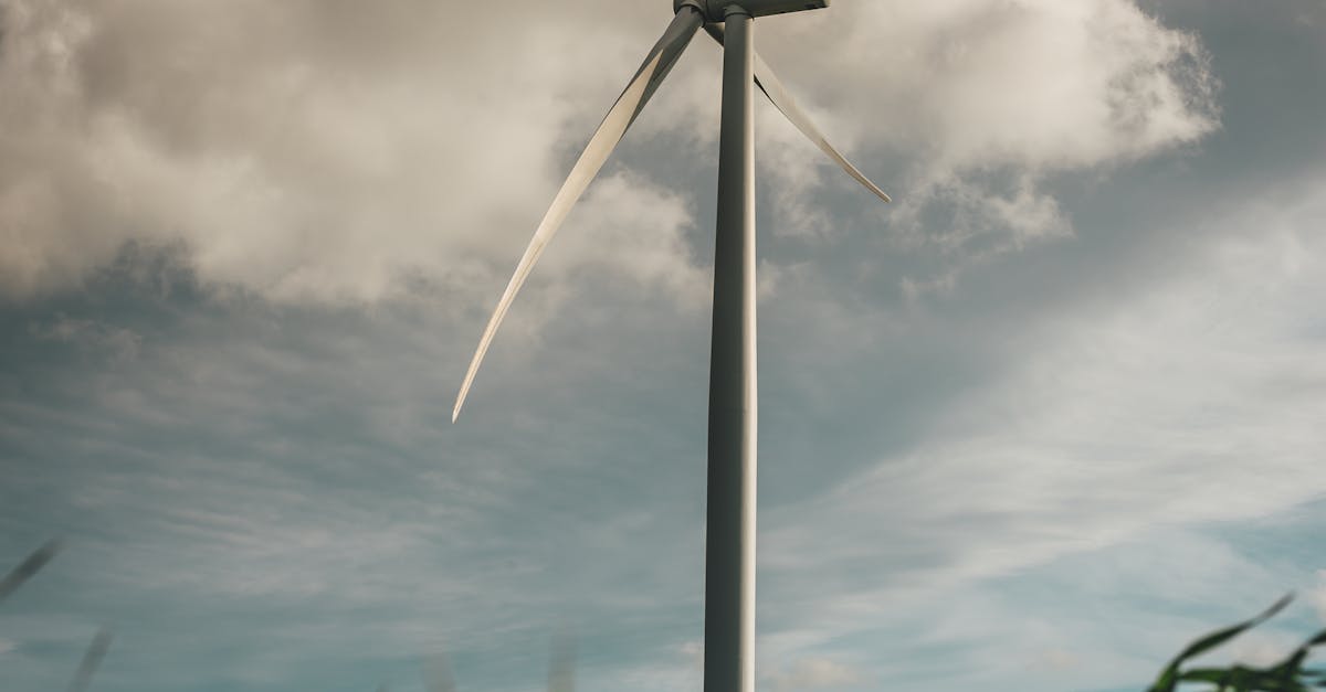 Complexul Energetic Oltenia se confruntă cu provocări majore în producția de energie