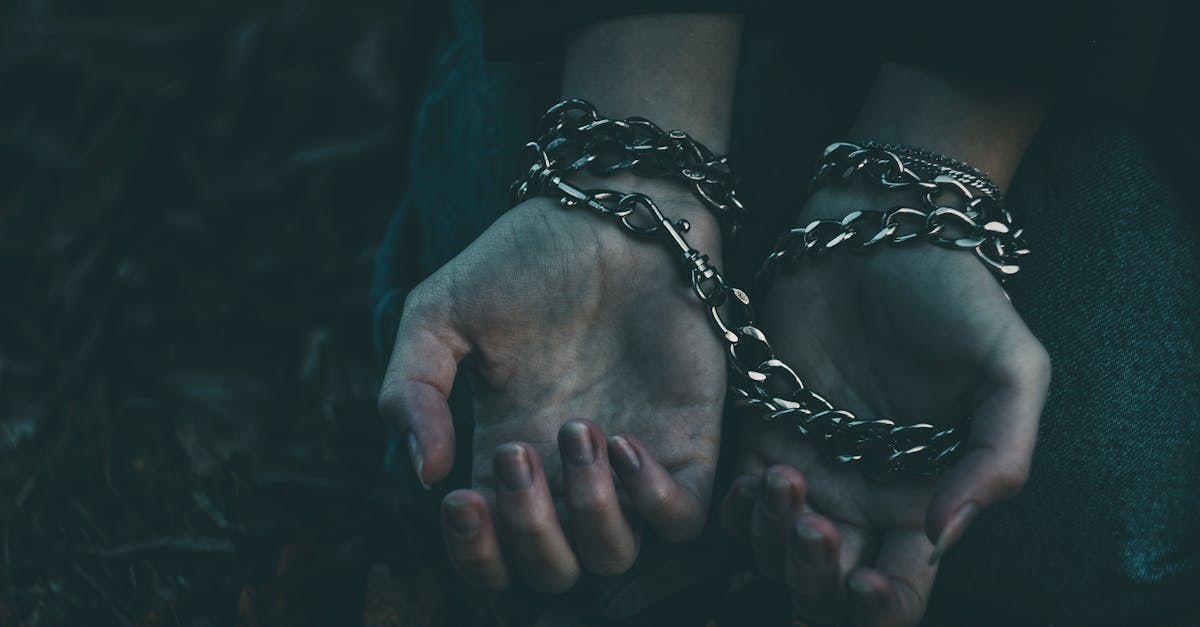 O carte tulburătoare despre opresiunea comunistă: „Încă de pe atunci vulpea era vânătorul”