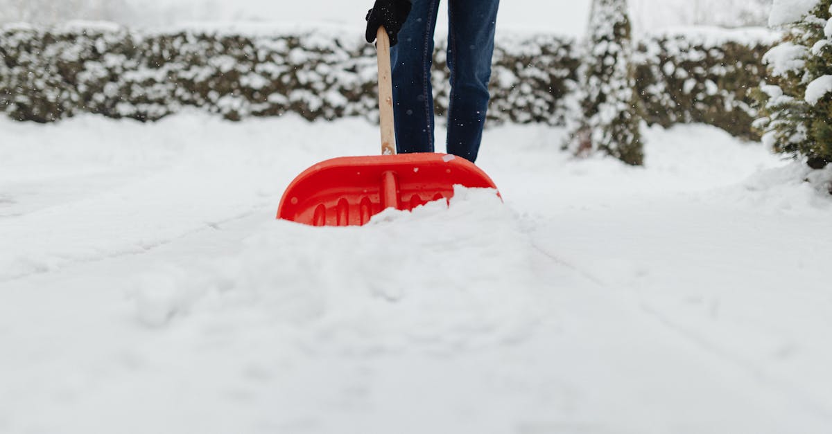 Prognoza meteo pentru Crișana: ce ne așteaptă în următoarele două săptămâni