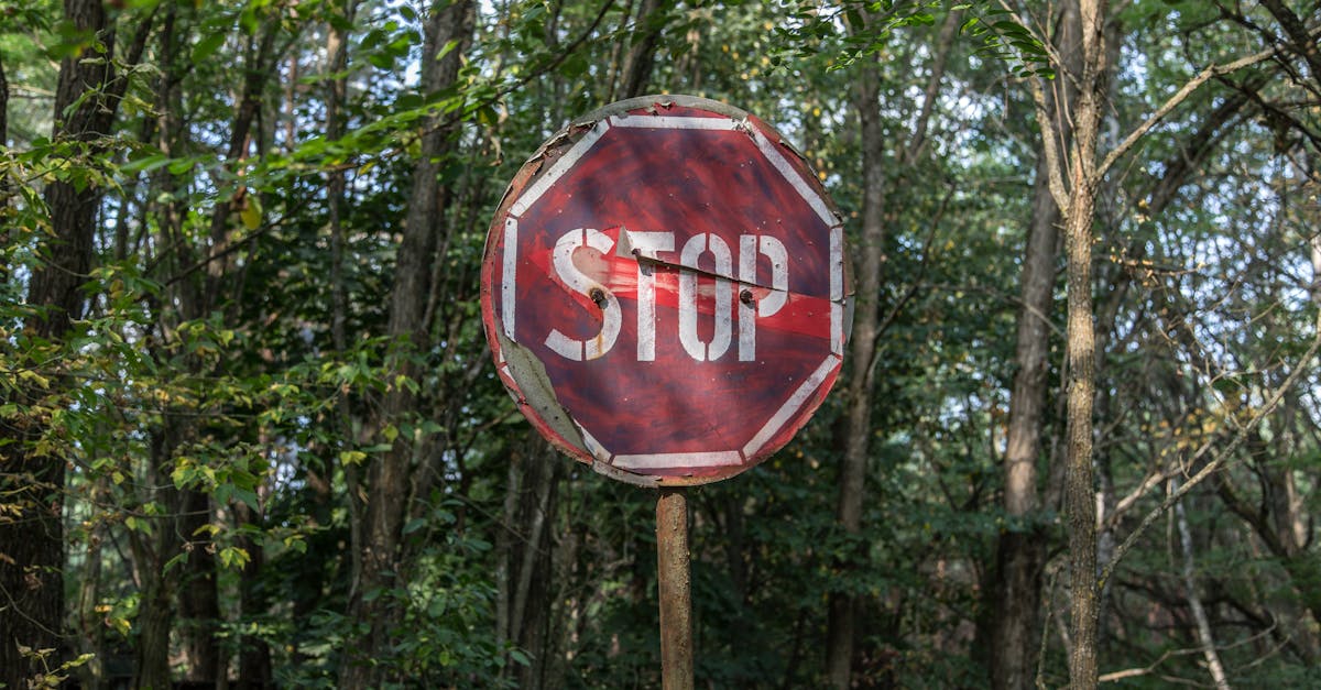 Resturi auto abandonate pe drum, amendă record pentru autorul gestului inacceptabil