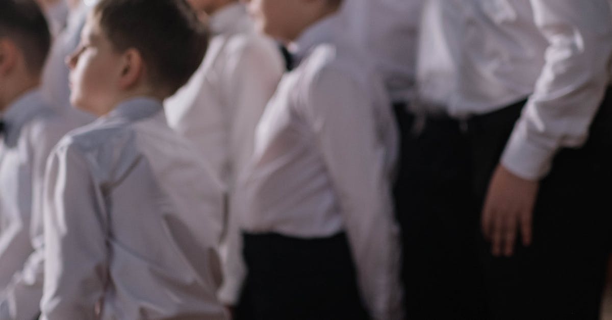 Recital de vară: o seară de muzică clasică la Centrul Cultural Dacia