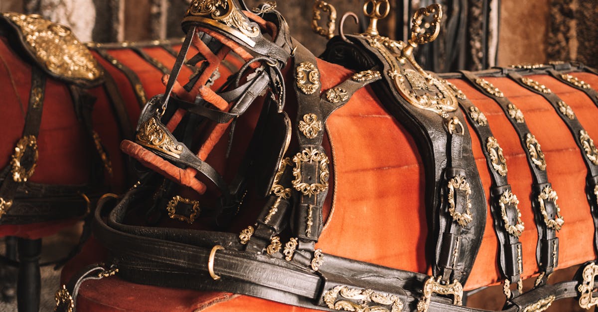 Un nou muzeu dedicat calului secuiesc va fi deschis într-un castel istoric din Transilvania