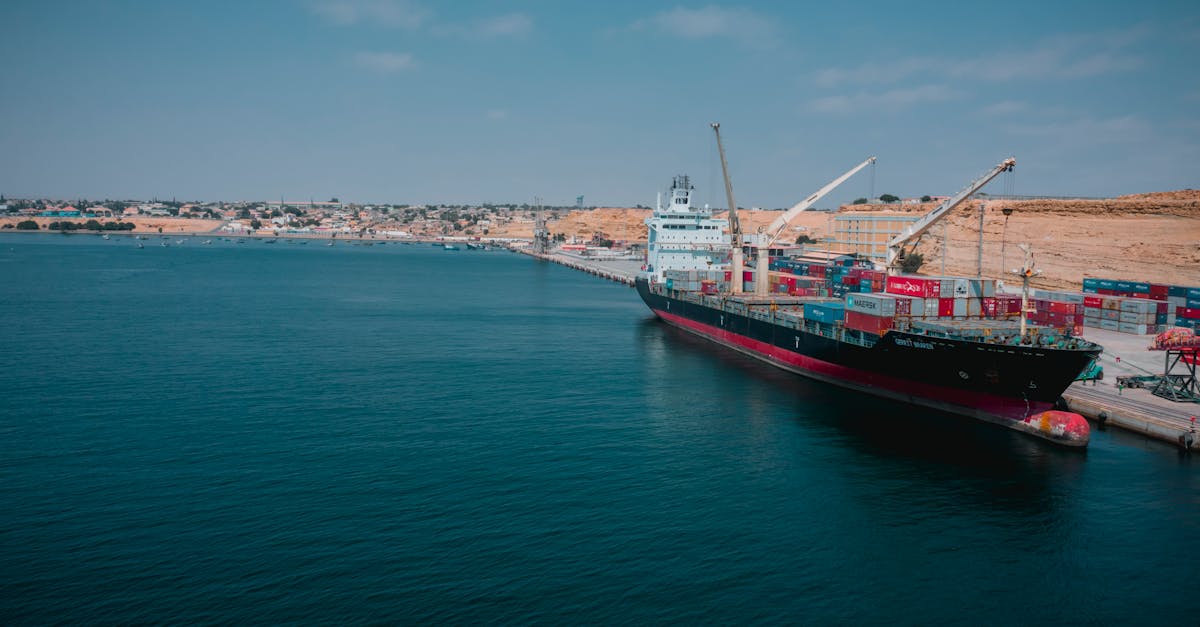 Investiție de peste 9 milioane de euro pentru modernizarea portului Midia pentru pescarii din Marea Neagră